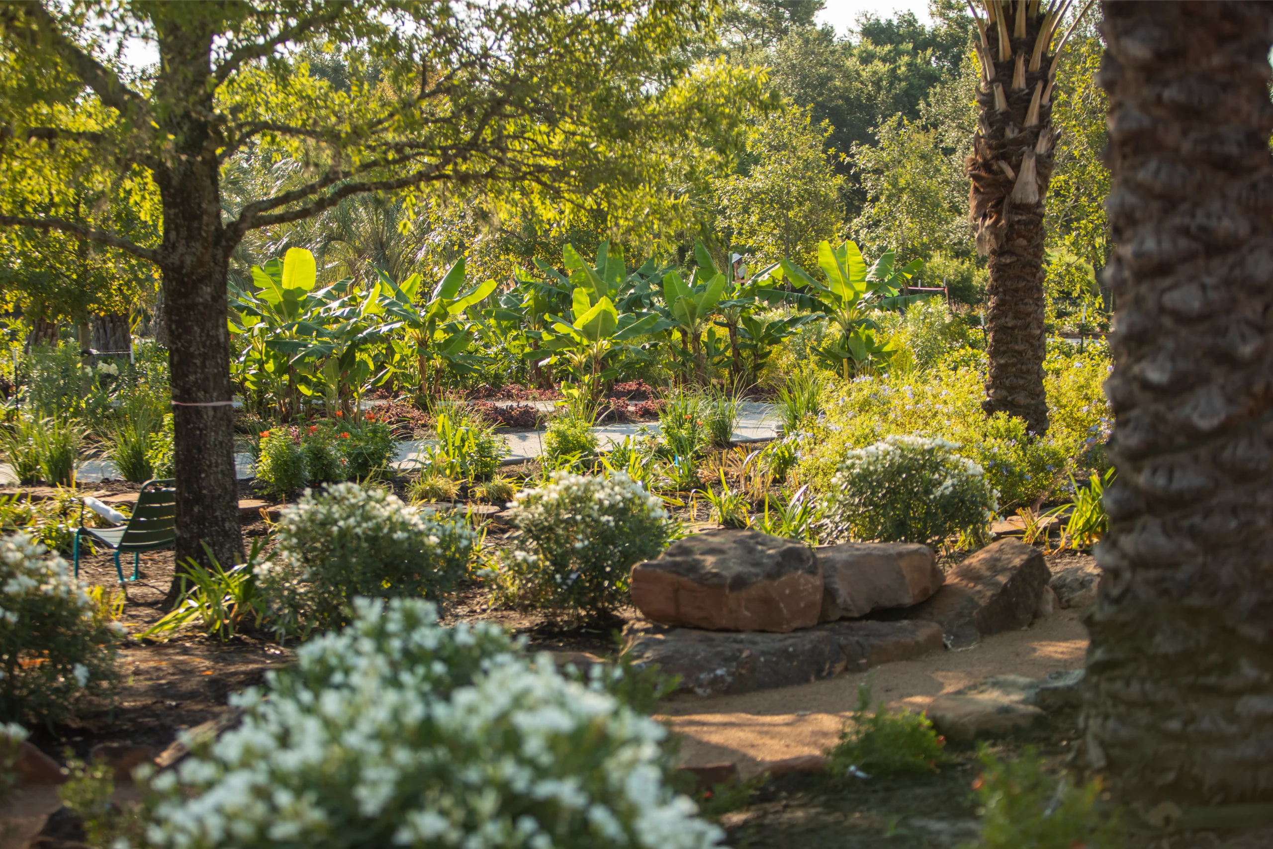 Houston Botanic Garden Photo by Michael Tims_09
